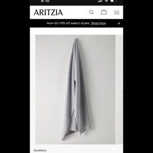 Aritzia Auxiliary Maine Cashmere Light Gray Scarf NWT